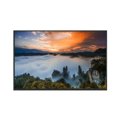 LVDS 40pin 10.1 Inch LCD Display 216.96×135.6mm LCD Module TFT